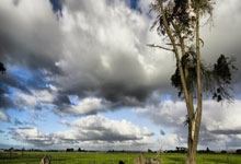 天涯论坛刷屏的十大神贴,这些年都让我热血沸腾!
