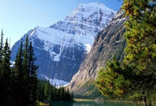 天涯论坛删贴风波：网友热议背后的真相揭秘！