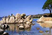 天涯论坛十大神贴盘点